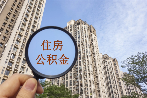阳春离职多久可以取住房公积金(离职多久后能取公积金) 阳春离职多久可以取住房公积金(离职多久后能取公积金)